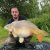 Specimen 2 Cackle Hill Lakes