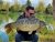 Specimen Carp & Pike Lake Crowsheath Fisheries