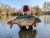 Specimen Lake 2 Hintlesam Fisheries