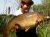Specimen Lake Clavering Lakes
