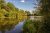 Specimen Lake Shillinglee Fishery