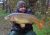 Specimen Lake Sycamore Fishery