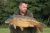 St Genevieve’s Lake Syndicate