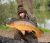 Swan Lake Stanwick Lakes Fisheries