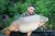 Syndicate Lake Tyram Fisheries