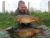 Terrapin Darenth Fishing Complex