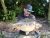 The Brock Carp Fishery