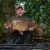 The Jigsaw Ecton Lakes
