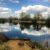 The New Pit Bainton Fisheries