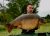 The Quarry Baden Hall Fishery