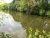 Thurlows Lake Watford Piscators