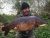 Tippings Lane Syndicate
