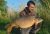 Tonford Lake (syndicate) Mid Kent Fisheries