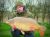 Top Lake Earls Hall Fisheries