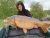 Top Lake Headland Farm Fishery