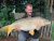 Top Lake Holyfield Fishery