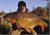 Turf Pool Blackfords Progressive Angling Society