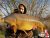 Valley Lake Syndicate Fryerning Fishery