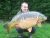WILLOW BANK SPECIMEN LAKE -Todber Manor