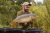 Watergate Fishing Lake