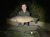 Weston Moat Fishery
