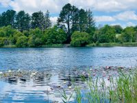 Lac Noir – Brittany Forest Lakes