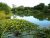 Whitepost Lakes – Todber Manor