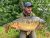 Willow Pool Colebrook Fishery