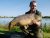 Willow Pool – Furzebray
