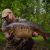 Wyndham lake Isle Fisheries