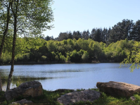 Lac Noir – Brittany Forest Lakes