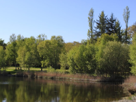 Lac Noir – Brittany Forest Lakes