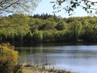 Lac Noir – Brittany Forest Lakes