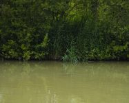 Heath Lake Avalon Fisheries
