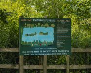 Heath Lake Avalon Fisheries