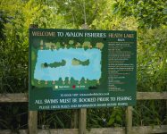 Heath Lake Avalon Fisheries