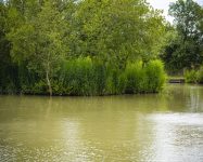 Heath Lake Avalon Fisheries