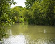 Heath Lake Avalon Fisheries