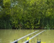 Heath Lake Avalon Fisheries