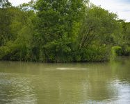 Heath Lake Avalon Fisheries