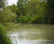 Heath Lake Avalon Fisheries