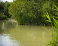 Heath Lake Avalon Fisheries
