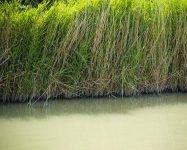 Heath Lake Avalon Fisheries