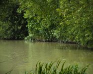 Heath Lake Avalon Fisheries