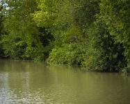 Heath Lake Avalon Fisheries