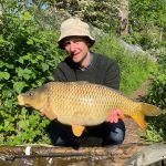 the estate lake arrow meadow common carp