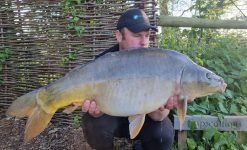 the estate lake arrow meadow mirror carp 3