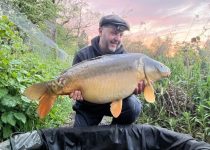 the estate lake arrow meadow mirror carp 4