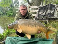 the estate lake arrow meadow mirror carp